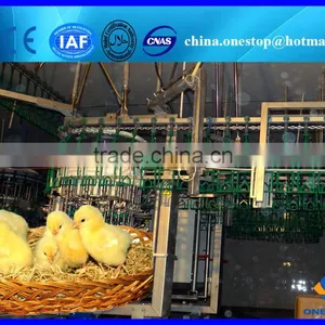 Poultry Slaughtering Equipment in Slaughtering Equipment/Poultry Slaughter thumbnail-2