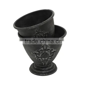 Hot Sale Indoor Plants Ficus Microcarpa Bonsai thumbnail-5