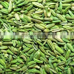 Singapore Quality Fennel Seeds thumbnail-1