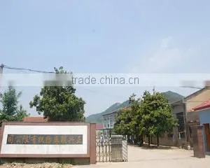 Anji Zhenxing Lianma Spinning And Weaving Co., Ltd. company overview - view 2 thumbnail