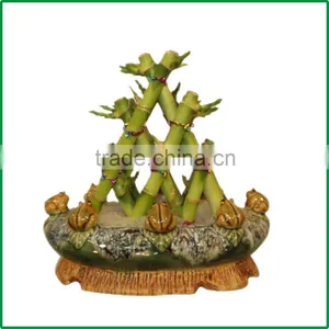 Small Triangle Pyramid Lucky Bamboo Air Bonsai Tree DRACAENA SANDERIANA Indoor Ornamental Aquatic Water Plants Garden Decoration thumbnail-1