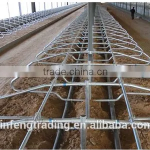Cattle/Cow Lying Bar, Livestock Farming Equipment thumbnail-2