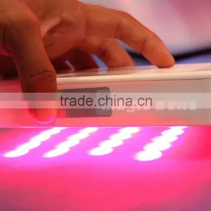 Double Chin Removal Professional 2 Cryo Handles Fat Dissolving Machine Cryolipolysis Machine With Teaching Video Fat Freezing thumbnail-6