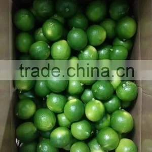 VIETNAM FRESH SEEDLESS LIME thumbnail-2