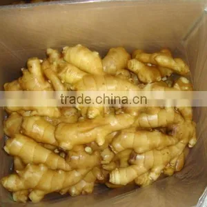 2011 Crop Fresh Ginger thumbnail-1