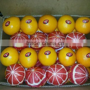 Weight of Navel and Valencia Orange From Egypt in 18 kg Cartons thumbnail-6
