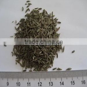 Chinese Black Cumin Seeds thumbnail-1