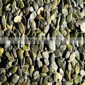 China Dry Pumkin Kernels Grow Without Shell for Sale thumbnail-1