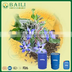 Cold Pressed Best Price Organic Borage Seed Oil Essential Oil Cure PMS thumbnail-1