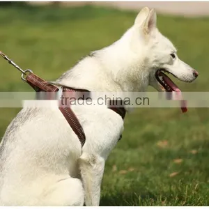 Wholesale Pet Collar Making Supplies / Pet Dog Leash Chain and Harness thumbnail-3