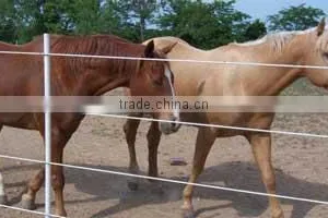 Fiber Reinforced Plastic Used Fence Post for Sale thumbnail-2