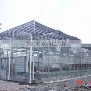 Greenhouse of Polycarbonate Sheet thumbnail-4