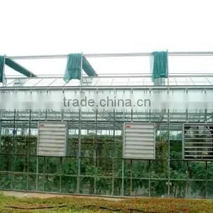 Commercial Greenhouse thumbnail-5