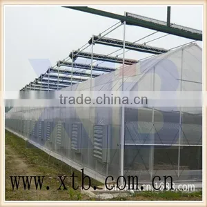 Film Arch Greenhouse for Sale From Big Greenhouse Manufacturer in China thumbnail-1