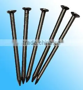 Polished Common Iron Nails With Factory Price thumbnail-1