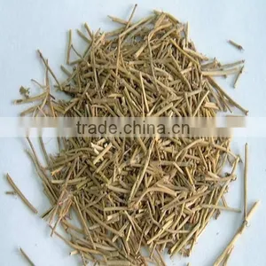 Ephedra Vulgaris thumbnail-4