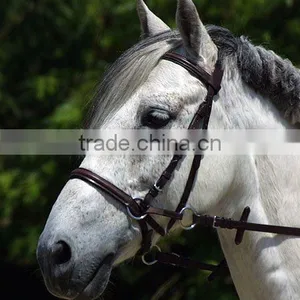 Leather Bridle thumbnail-1