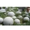 Sell Stone Balls thumbnail-1