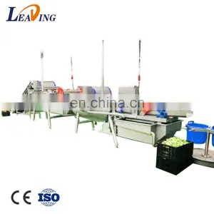 Hot Sale Cheap Reliable Industrial Vegetable Processing Line Machine Wholesaler thumbnail-4