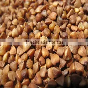 Organic Roasted Buckwheat thumbnail-1