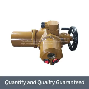 Bernard Switch Type Electric Actuator DZW350-18W/Z/T Multi-turn Valve Electric Device thumbnail-4