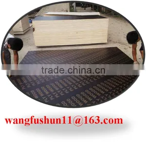 18mm Film Faced Plywood Qatar Film Faced Plywood for Construction thumbnail-6