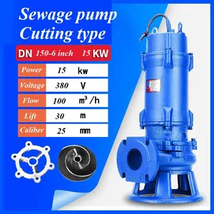 Sewage Pump thumbnail-4