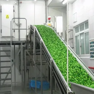Automatic Frozen Fruit & Vegetable Processing Line Frozen Asparagus Production Line thumbnail-5
