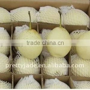 Fresh Ya Pear for Selling thumbnail-1