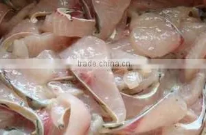 Fish Fillet Machine for Sale/ Fish Cutting Machine Price thumbnail-6