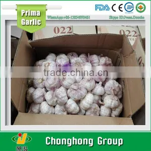 2016 Crop Chinese Red Garlic Factory Directly Supply thumbnail-1