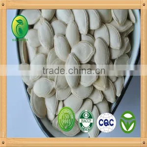 Shine Skin Pumpkin Seeds (ladynail)seed Pumpkin thumbnail-1