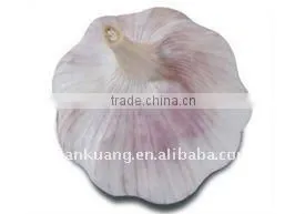 Chinese Normal Garlic thumbnail-1