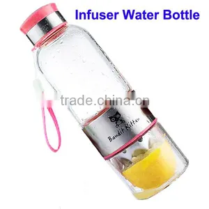 Wholesale 500ml Glass Fruit Infuser Water Bottle, Lemon Water Bottle Infuser Quality Choice thumbnail-3