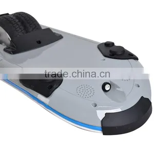One Wheel Electric Skateboard One Wheel Self Balance Unicycle One Wheel Electric Hoverboard thumbnail-6
