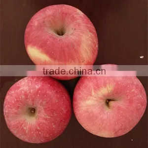 New Season Fuji Apples With Cheap Price From Fruits Factory thumbnail-5