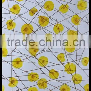 Color Acrylic Plexiglass Panels for Room Divider thumbnail-2