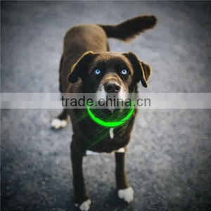 Hot Dog Accessories Dog Collar Name Plate,dog Collar Camera thumbnail-6