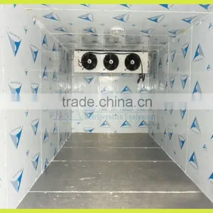 6 Tons Vegetable and Fruit Storage Cold Room in Guangzhou thumbnail-1