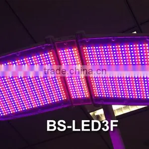 Professional Phototherapy Photon LED Phototherapy Light Therapy Equipment for Salon thumbnail-6