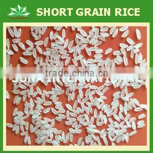 Long Grain Rice 10% Broken - VIETNAMESE RICE - VINARICE.VN thumbnail-4