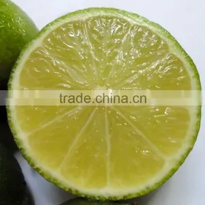 Fresh Lime VIET NAM 2015 thumbnail-2