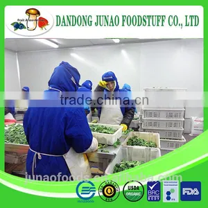 New Crop Iqf Broccoli Florets thumbnail-2