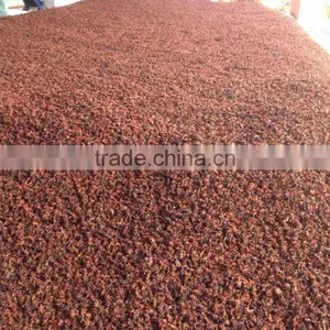 VIETNAM SPRING STAR ANISEED thumbnail-3