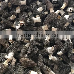 High Quality Morels/morilles/morchella Conica/cultivate Morels/morel Mushroom thumbnail-3