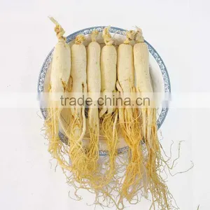 White Ginseng Root Powder thumbnail-4