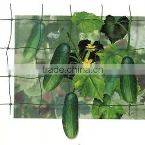 Vegetable Plant Support Net thumbnail-2