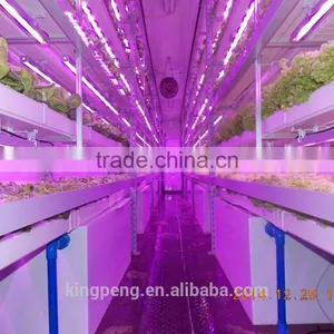 Container Greenhouse for Agriculture thumbnail-3
