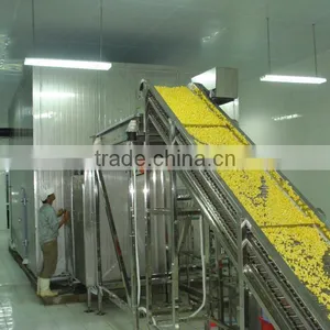 Iqf Tunnel Freezer Potato Chips Machine Blast Freezer thumbnail-3