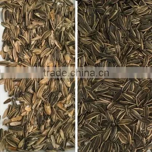 Multifunctional CCD Camera Sunflower Seed Color Separator thumbnail-2